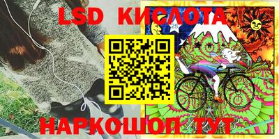 эйфоретик Владивосток