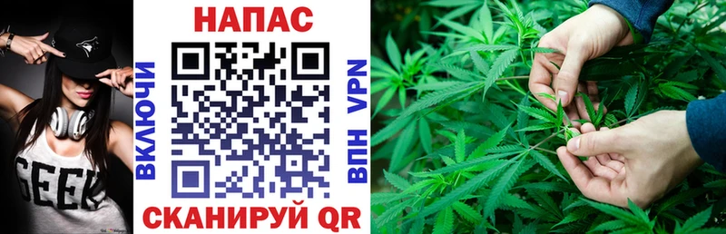 Бошки марихуана ГИДРОПОН  Видное 